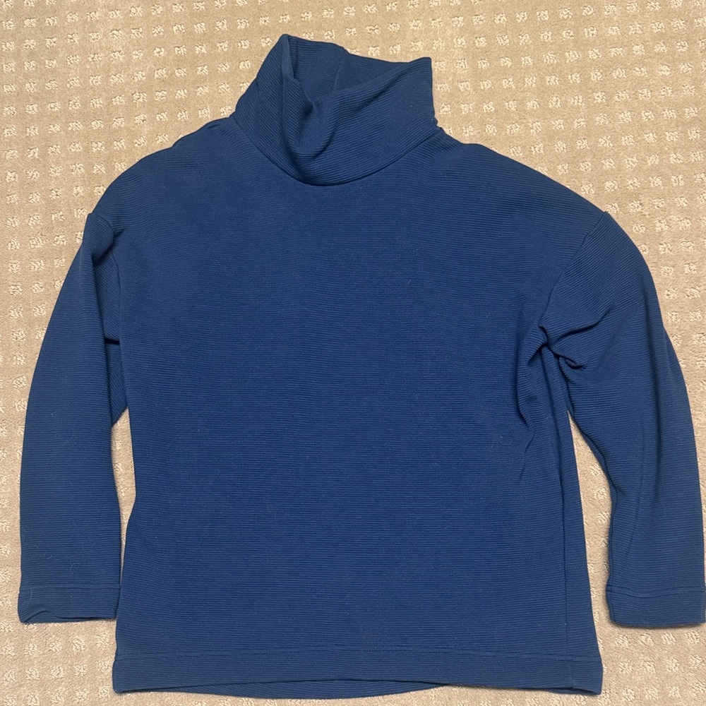 Banana Republic Navy Ribbed Sweater size small